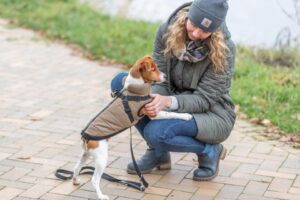 01a7369c-8b17-41c4-b11f-afd1ce3eea2f 01a7369c-8b17-41c4-b11f-afd1ce3eea2f