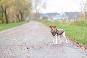 05a29522-c4bf-4f57-aa98-25eeb28461bc 05a29522-c4bf-4f57-aa98-25eeb28461bc