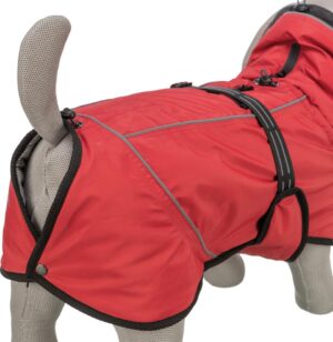 2ed12cec-8481-4b75-bad7-f7bb6754c2aa-2 2ed12cec-8481-4b75-bad7-f7bb6754c2aa-2