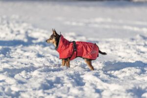 700e62f2-b9cf-4ef0-a2e4-1bff7f0b1655-2 700e62f2-b9cf-4ef0-a2e4-1bff7f0b1655-2