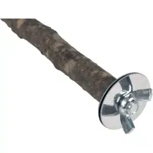 A340.0000-.jpg A340.0000-.jpg