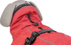 c295ea3c-b375-4ded-80eb-68b69f8f6aa7-3 c295ea3c-b375-4ded-80eb-68b69f8f6aa7-3