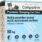 Companion Kattesand babypudderduft 10kg