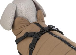 d97e8bc5-3bfe-449d-b8a3-3887b0bd1969-2 d97e8bc5-3bfe-449d-b8a3-3887b0bd1969-2