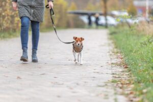 ec1beae3-cd5b-4db9-90b5-9493d2dcd4b1 ec1beae3-cd5b-4db9-90b5-9493d2dcd4b1