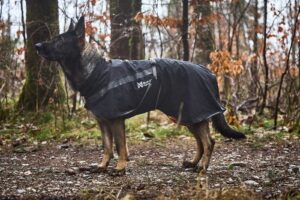 trekking_dog_raincoat_setting_4 trekking_dog_raincoat_setting_4