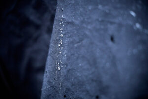 trekking_dog_raincoat_setting_7 trekking_dog_raincoat_setting_7