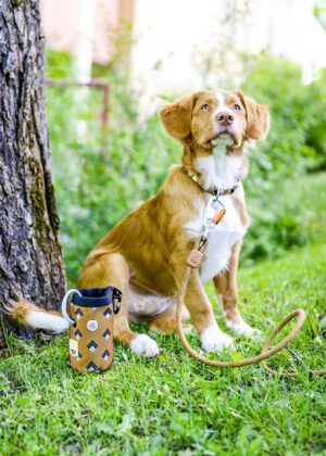 v02_7081500A047E3479168095D7FD0D5117-2 v02_7081500A047E3479168095D7FD0D5117-2