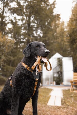 v02_A81068FB5EF9CCD9E8C9A5A060CD8FE8-2 v02_A81068FB5EF9CCD9E8C9A5A060CD8FE8-2