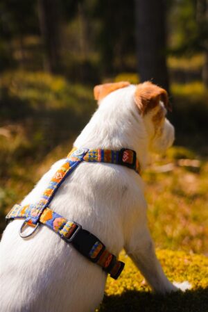 v02_D0B5B75168F9A999FD5865321236ABF9-2 v02_D0B5B75168F9A999FD5865321236ABF9-2