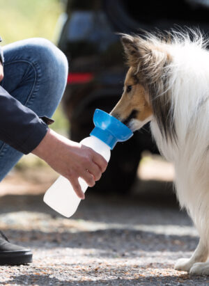 29ae3188-4583-4572-80ba-c7f8f3f410c3 29ae3188-4583-4572-80ba-c7f8f3f410c3