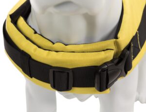 6a697254-a823-4c17-97c9-0d630108f377 6a697254-a823-4c17-97c9-0d630108f377