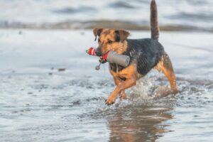 6c80efbe-98ff-43e5-8c6c-1d5ca861b5ea 6c80efbe-98ff-43e5-8c6c-1d5ca861b5ea