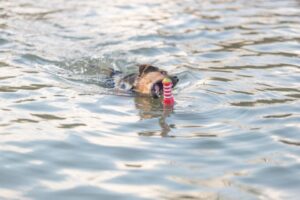 8345bcd3-1878-4e2a-a955-028fcf026de3 8345bcd3-1878-4e2a-a955-028fcf026de3