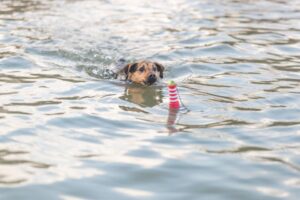 86413b8a-df2d-42ed-9ab0-6c47b9221b6f 86413b8a-df2d-42ed-9ab0-6c47b9221b6f