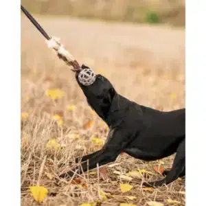 A633.5092-.jpg A633.5092-.jpg