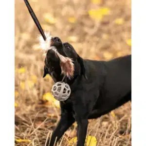 A633.5092--.jpg A633.5092--.jpg