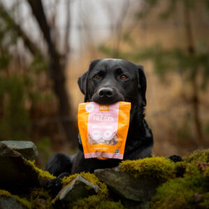 IMG_2740-2-2 IMG_2740-2-2