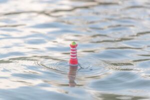 b86126fa-2ab1-468b-a995-954a22bb1fc9 b86126fa-2ab1-468b-a995-954a22bb1fc9