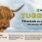 304041_etikett-80x225-tuggrulle-lamm-13cm