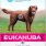 Eukanuba Daily Care Weight Control Large Breed 15kg