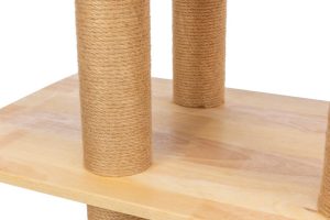 2e47cf43-987d-49ae-a21f-c4539c72b64e 2e47cf43-987d-49ae-a21f-c4539c72b64e