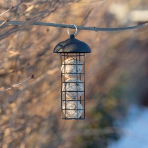 4915525e-9a2c-4e8f-ad0d-69d8b9369863 4915525e-9a2c-4e8f-ad0d-69d8b9369863