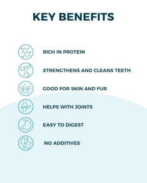 p_VB19001_slideshow_2 p_VB19001_slideshow_2