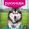 EUKANUBA Adult Large Breed laks & bygg 12kg