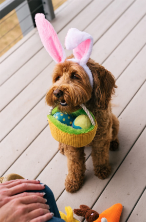 v02_88726DEB51675C224B87E34351D48BB5 v02_88726DEB51675C224B87E34351D48BB5