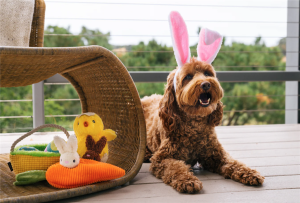 v02_9385EB7F5ADC8501DF5B807BC1A4AAD9 v02_9385EB7F5ADC8501DF5B807BC1A4AAD9