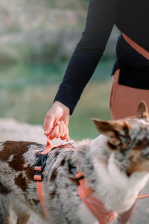 v02_A08757533FD2902DBBBC1A59315F3284 v02_A08757533FD2902DBBBC1A59315F3284