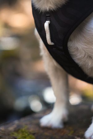 v02_A3EB78FE4ED3065BDD6A0F141CADDA92 v02_A3EB78FE4ED3065BDD6A0F141CADDA92