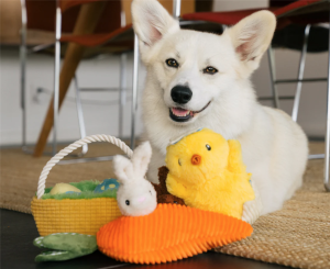 v02_FED10B724A1B9655252914BAD2CF5E42 v02_FED10B724A1B9655252914BAD2CF5E42