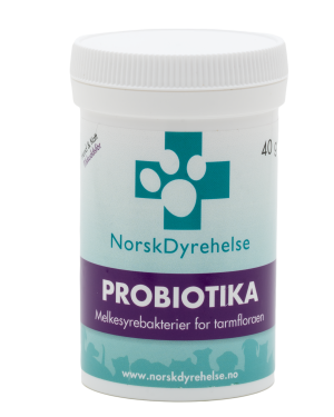 Probiotika Pulver 40g