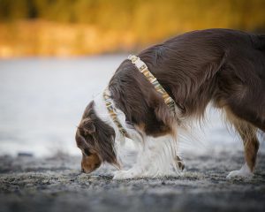 v02_AB83CFC434D6062D6121159C1353DECD v02_AB83CFC434D6062D6121159C1353DECD