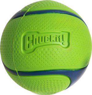 CHUCKIT Sniff fetch ball