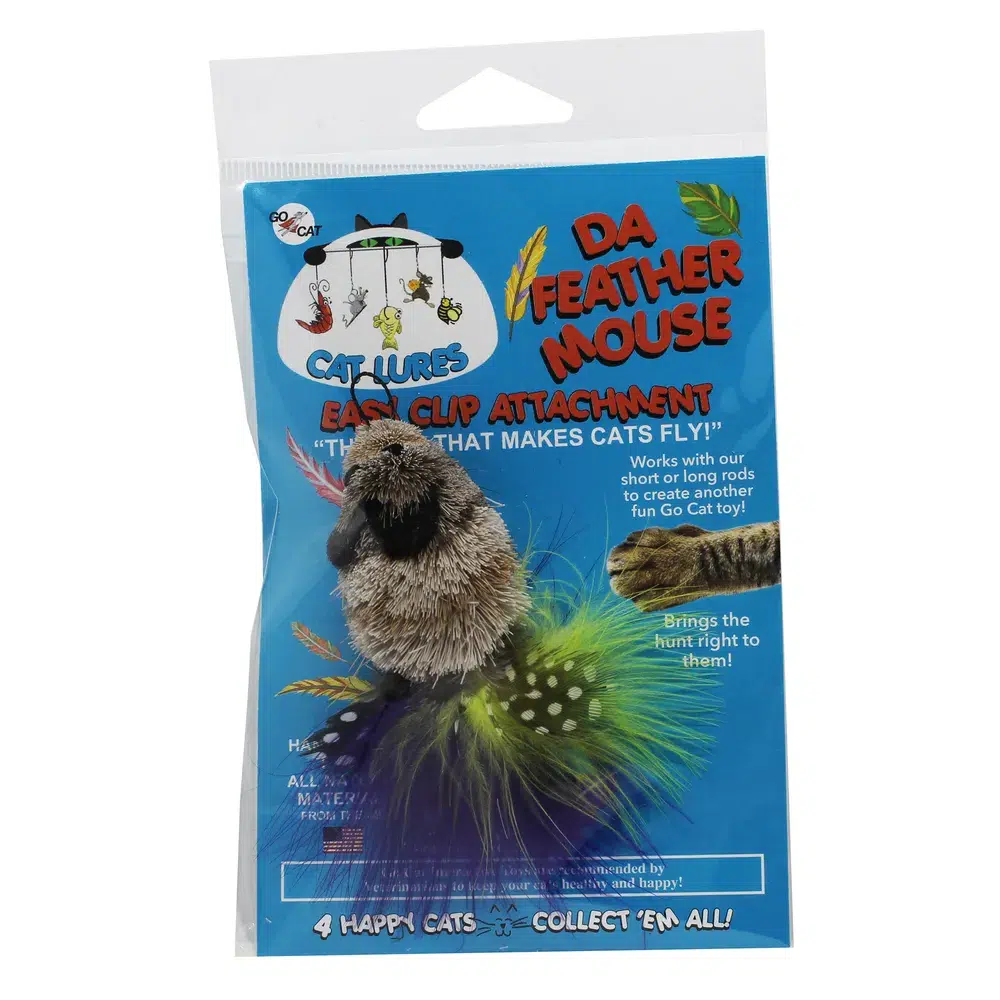 734727 Da bird Feather Mouse